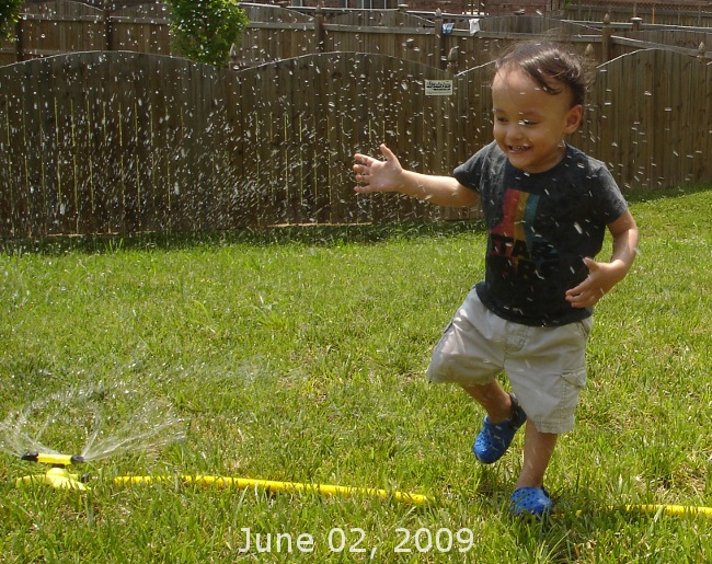Joey and the sprinkler
