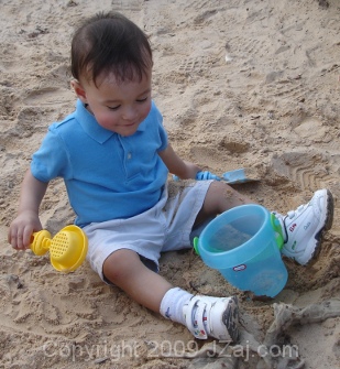 Joey in the sand - March 10, 2009