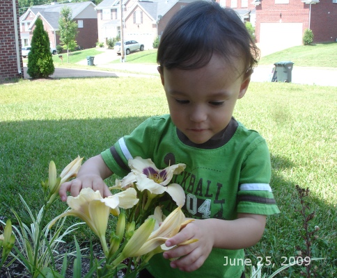 Joey and the flowers - June 25, 2009
